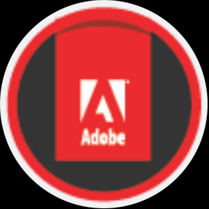 Professional Development